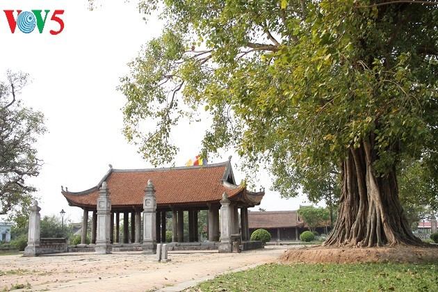 Keo Thái Bình – ngôi chùa có kiến trúc độc đáo nhất miền Bắc - ảnh 2